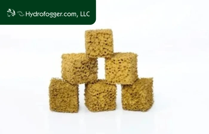 Antimicrobial Humidifiers How They Keep Your Air Cleaner and Healthier.webp